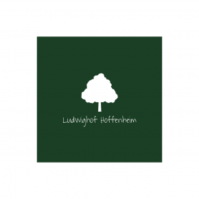 Ludwighof Hoffenheim